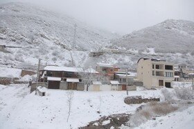 بارش برف گردنه گدوک محور سوادکوه