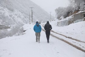 بارش برف گردنه گدوک محور سوادکوه