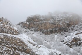 بارش برف گردنه گدوک محور سوادکوه