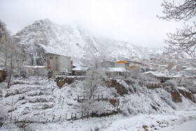 بارش برف گردنه گدوک محور سوادکوه