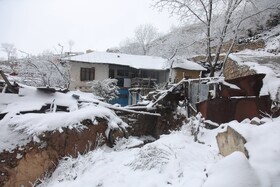 بارش برف گردنه گدوک محور سوادکوه