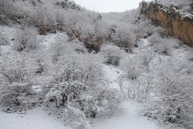 بارش برف گردنه گدوک محور سوادکوه