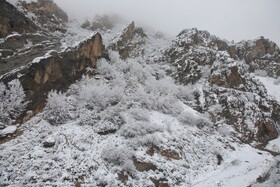 بارش برف گردنه گدوک محور سوادکوه