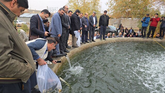 هدفگذاری ایجاد ۵۰۰۰ شغل پایدار در منطقه سیستان