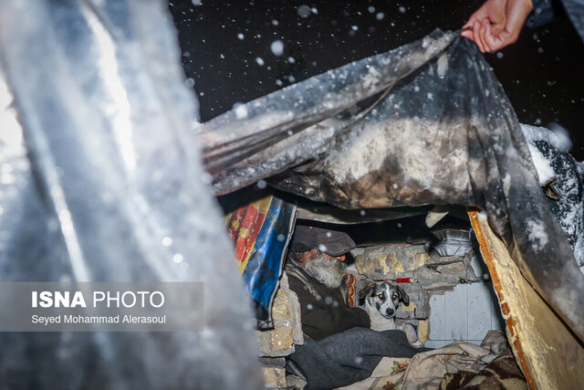 صفر درجه زیر پل