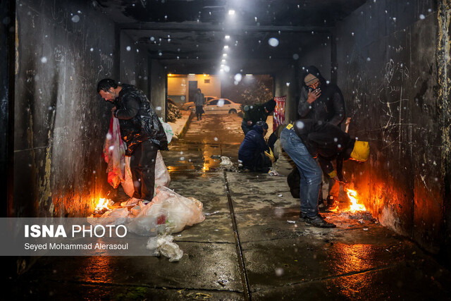 گرمخانه سبز مشهد