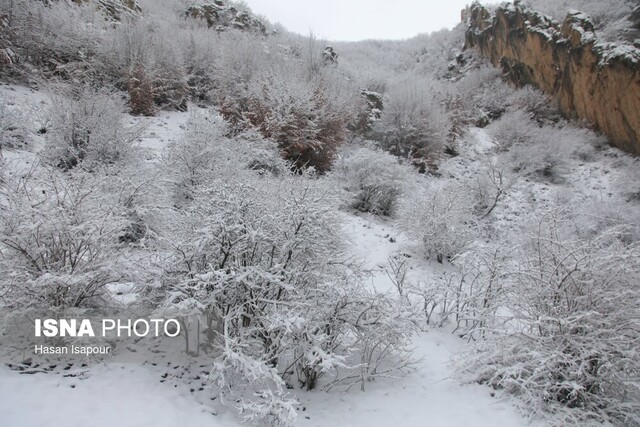 پیش‌بینی بارش برف و باران در قزوین