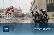 ویدیو/ بارش برف در مشهد