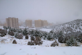 بارش برف پاییزی در شهرکرد