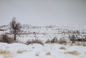 بارش برف پاییزی در شهرکرد