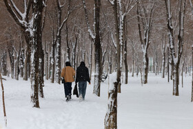 بارش برف پاییزی در شهرکرد