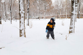 بارش برف پاییزی در شهرکرد