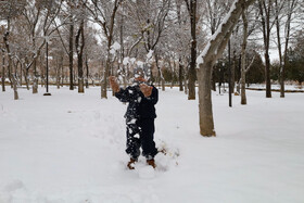 بارش برف پاییزی در شهرکرد