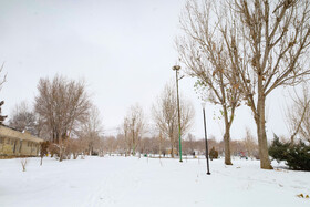 بارش برف پاییزی در شهرکرد