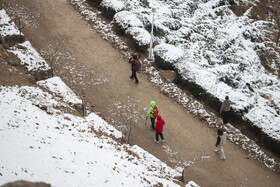 پارک کوهستانی صفه