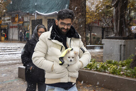 گذر فرهنگی چهارباغ عباسی