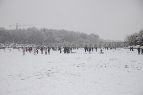 پل تاریخی چوبی