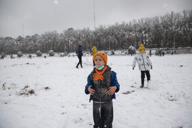 بستر زاینده‌رود