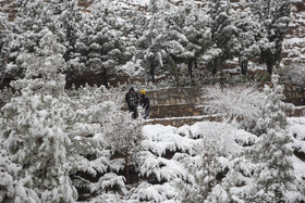 پارک کوهستانی صفه