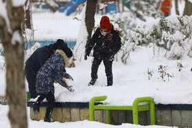 همدان میزبان جشن ساخت آدم‌برفی
