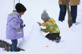 همدان میزبان جشن ساخت آدم‌برفی