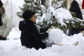 همدان میزبان جشن ساخت آدم‌برفی