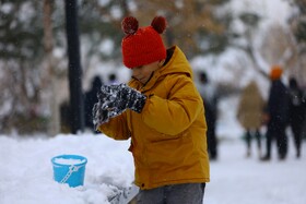 همدان میزبان جشن ساخت آدم‌برفی