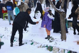 همدان میزبان جشن ساخت آدم‌برفی