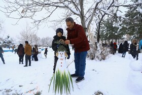 همدان میزبان جشن ساخت آدم‌برفی