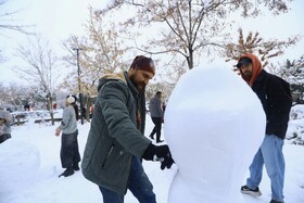 همدان میزبان جشن ساخت آدم‌برفی