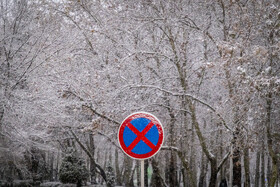 بارش شدید برف در مشهد