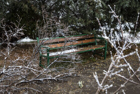 بارش شدید برف در مشهد