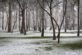 بارش شدید برف در مشهد