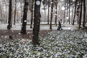 بارش شدید برف در مشهد