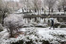 بارش شدید برف در مشهد