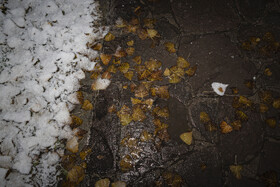 بارش شدید برف در مشهد