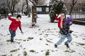 بارش شدید برف در مشهد