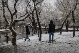 بارش شدید برف در مشهد