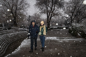 بارش شدید برف در مشهد