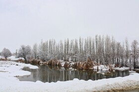 بارش نخستین برف پاییزی در یاسوج