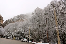 بارش نخستین برف پاییزی در یاسوج