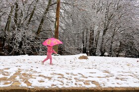 بارش نخستین برف پاییزی در یاسوج