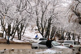 بارش نخستین برف پاییزی در یاسوج