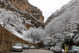 بارش نخستین برف پاییزی در یاسوج