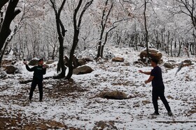 بارش نخستین برف پاییزی در یاسوج