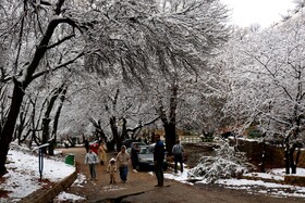 بارش نخستین برف پاییزی در یاسوج