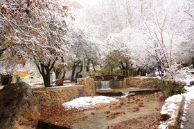 بارش نخستین برف پاییزی در یاسوج