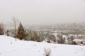 بارش نخستین برف پاییزی در یاسوج