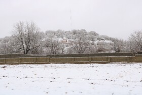 بارش نخستین برف پاییزی در یاسوج