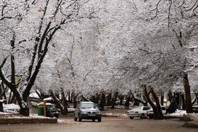 جزئیات سامانه بارشی قوی در کهگیلویه و بویراحمد